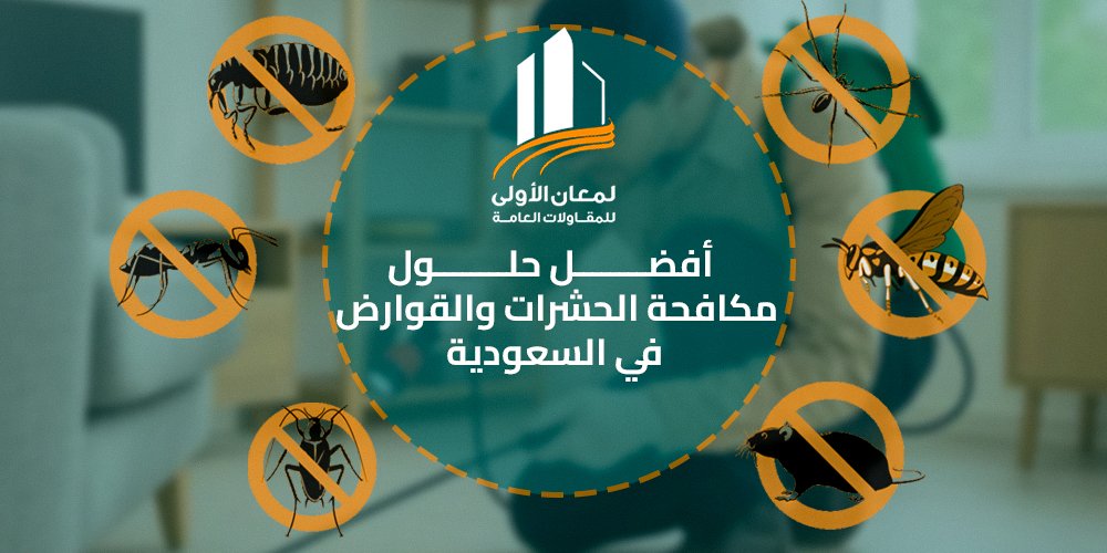 أفضل حلول مكافحة الحشرات والقوارض في السعودية